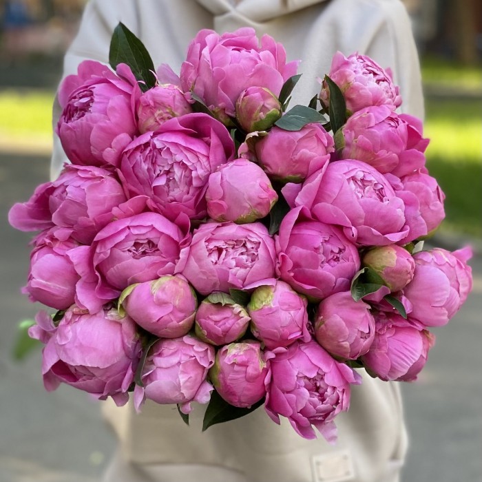 Пионы ярко-розовые Флеминг